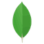 MongoDB
